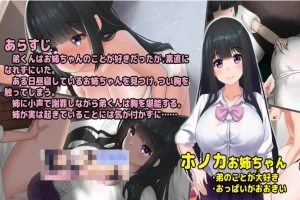 【互动触摸SLG/生肉/全动态】希望被弟袭击的姐姐 LIVE2D V1.04 步兵完全版【1.3G/CV/更新】-IS【69】
