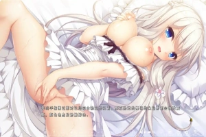 [ADV/汉化] 候鸟的梦 Pieces 渡り鳥のソムニウム 汉化版电脑 [4.4G]-IS【69】