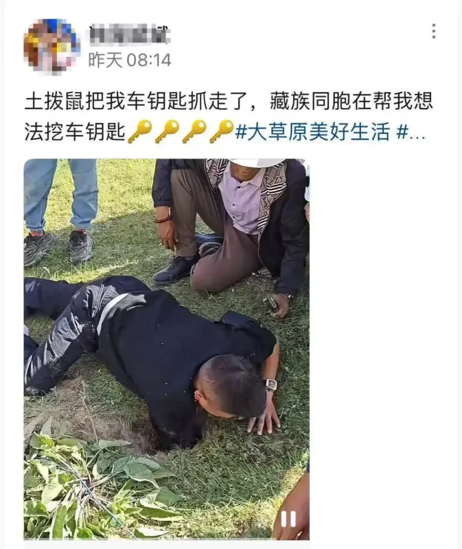 游客野外游玩时，车钥匙被狡猾土拨鼠“盗走”，带回巢穴，引发网友热议。-哈撒资源分享网