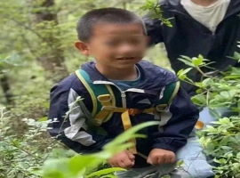 一名男孩在夏令营期间神秘失踪，与此同时，团内还有7名患有自闭症的儿童。-哈撒资源分享网