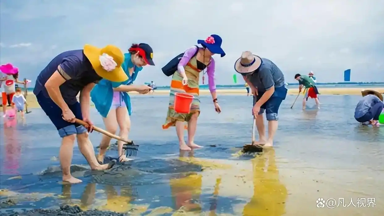 曝光：日照某赶海园涉嫌投放人工养殖的蛤蜊-哈撒资源分享网